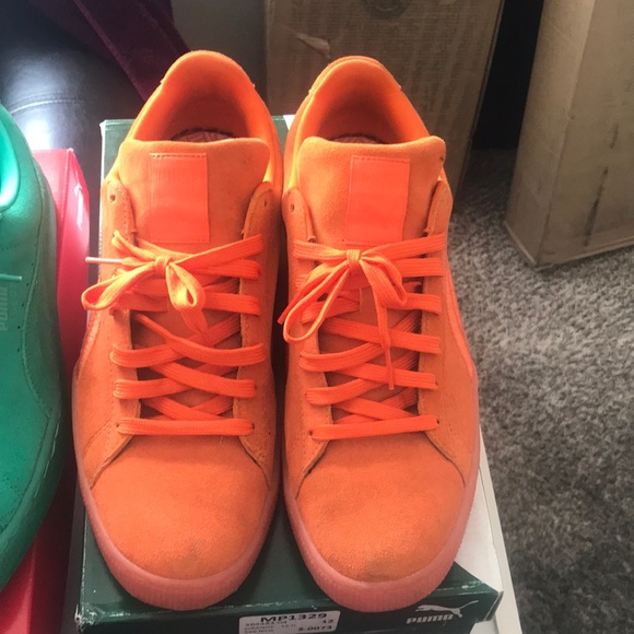 Lot of Vans and Pumas - Picture 5 of 7